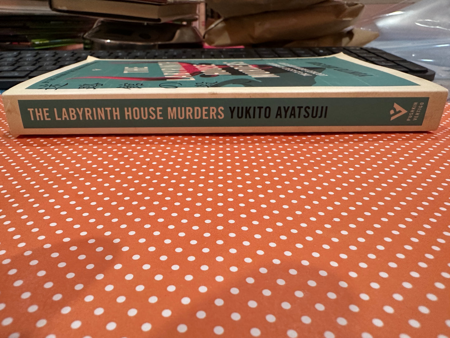 The Labyrinth House Murders