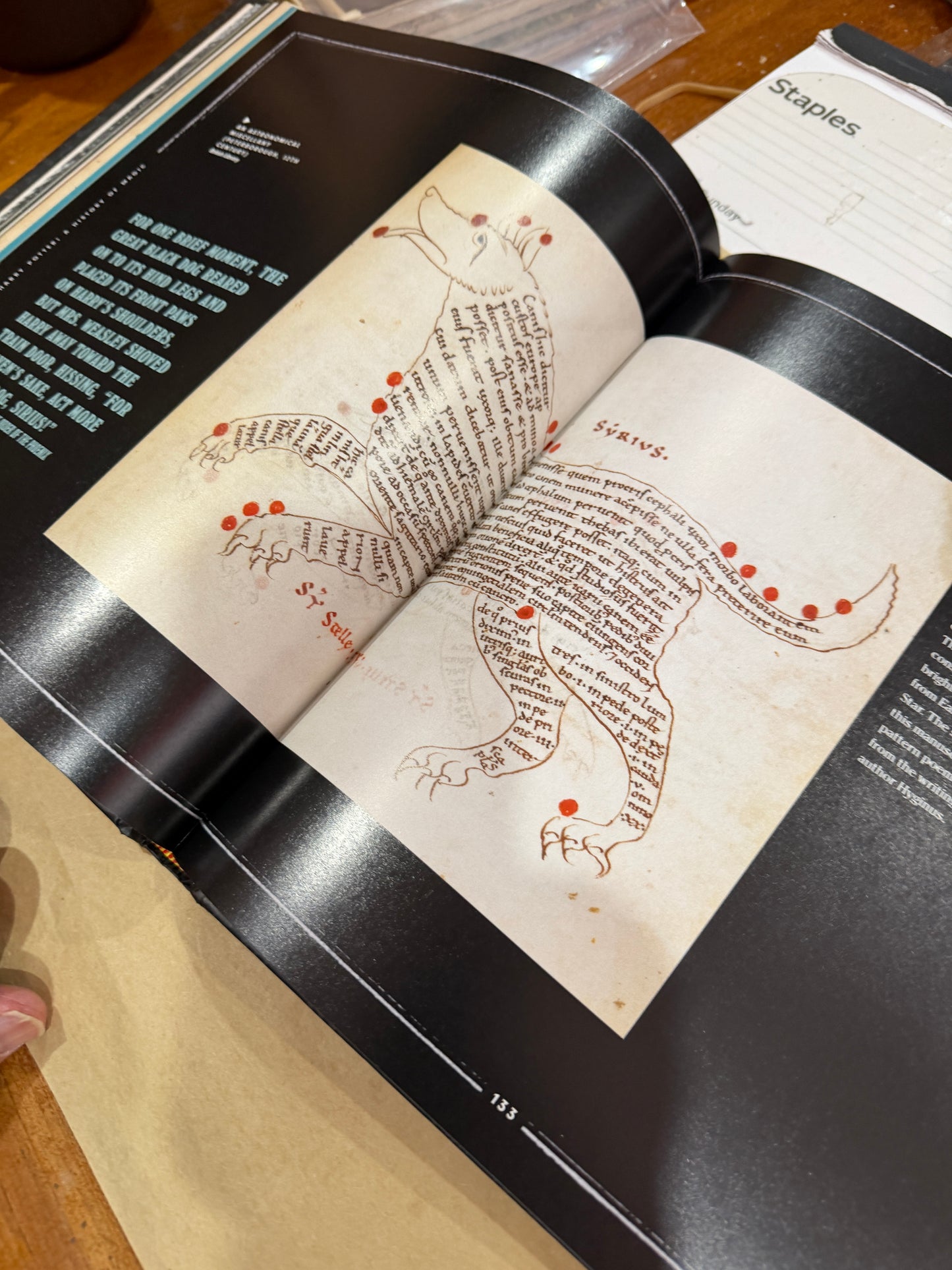 Harry Potter: A History of Magic-The Official Companion to the British Library Exibition at the New York Historical Society Museum and Library
