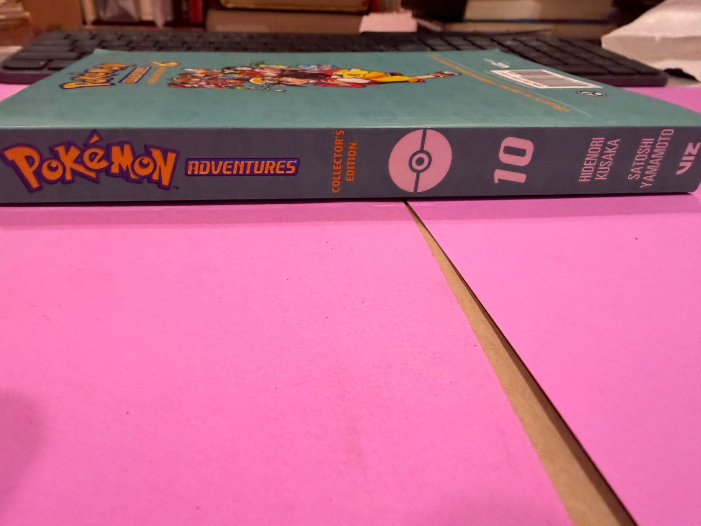 Pokemon adventures Vol 10