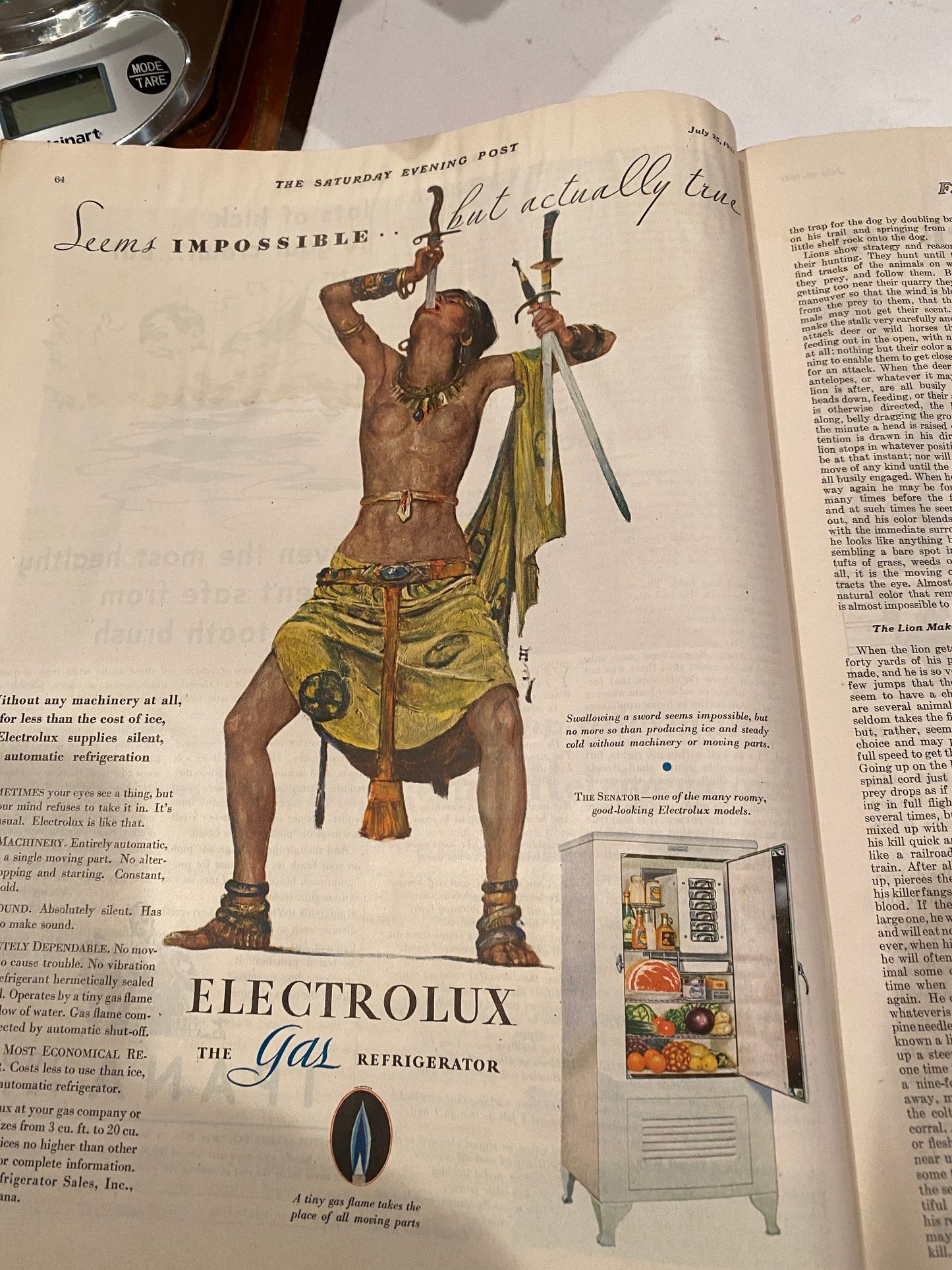Saturday Evening Post July 25, 1931