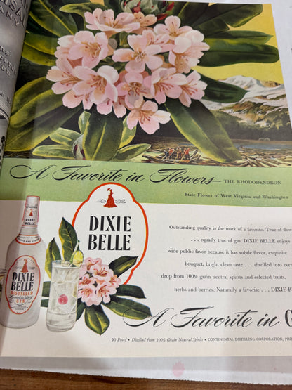 Fortune June 1946