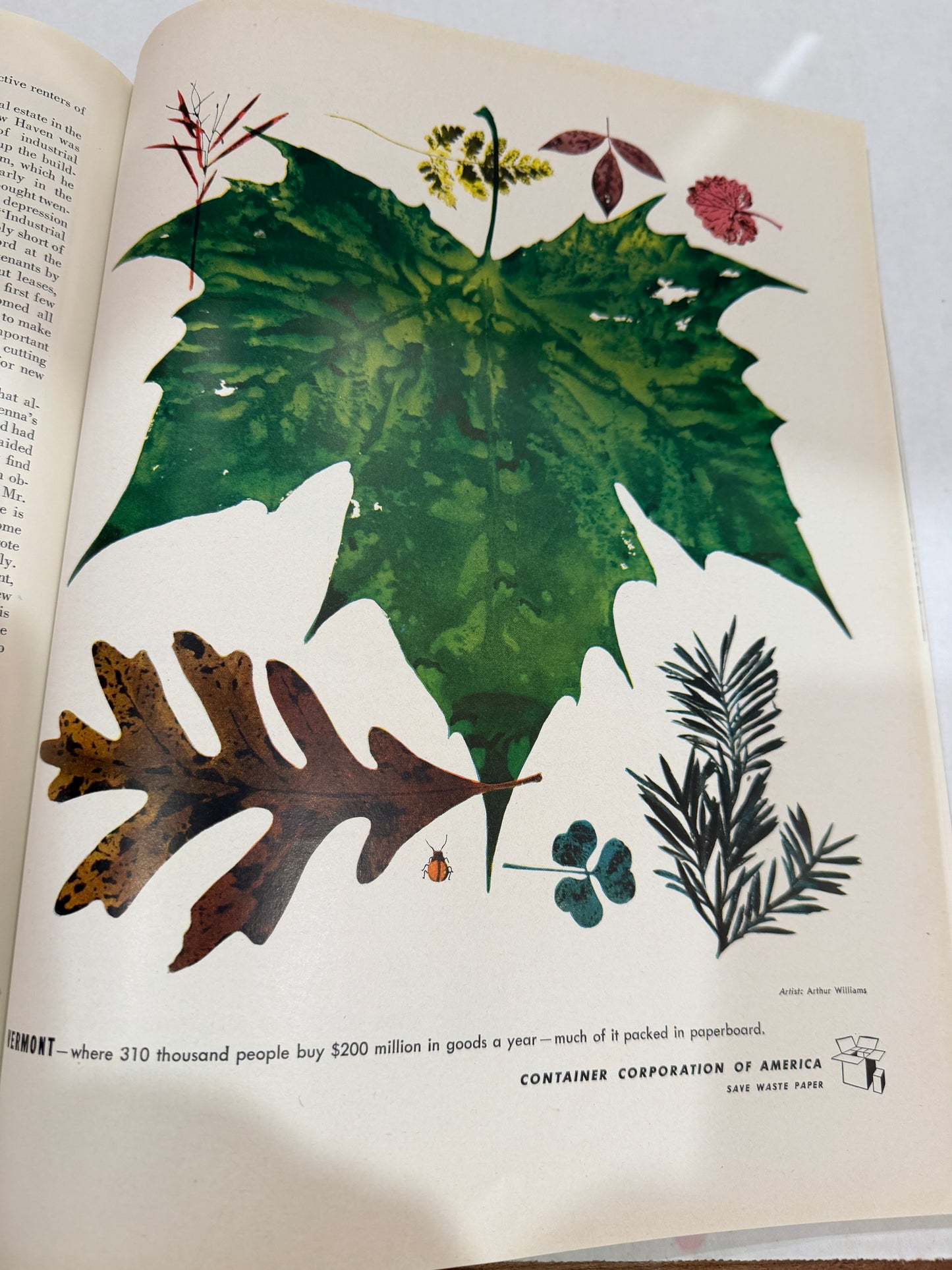 Fortune June 1946