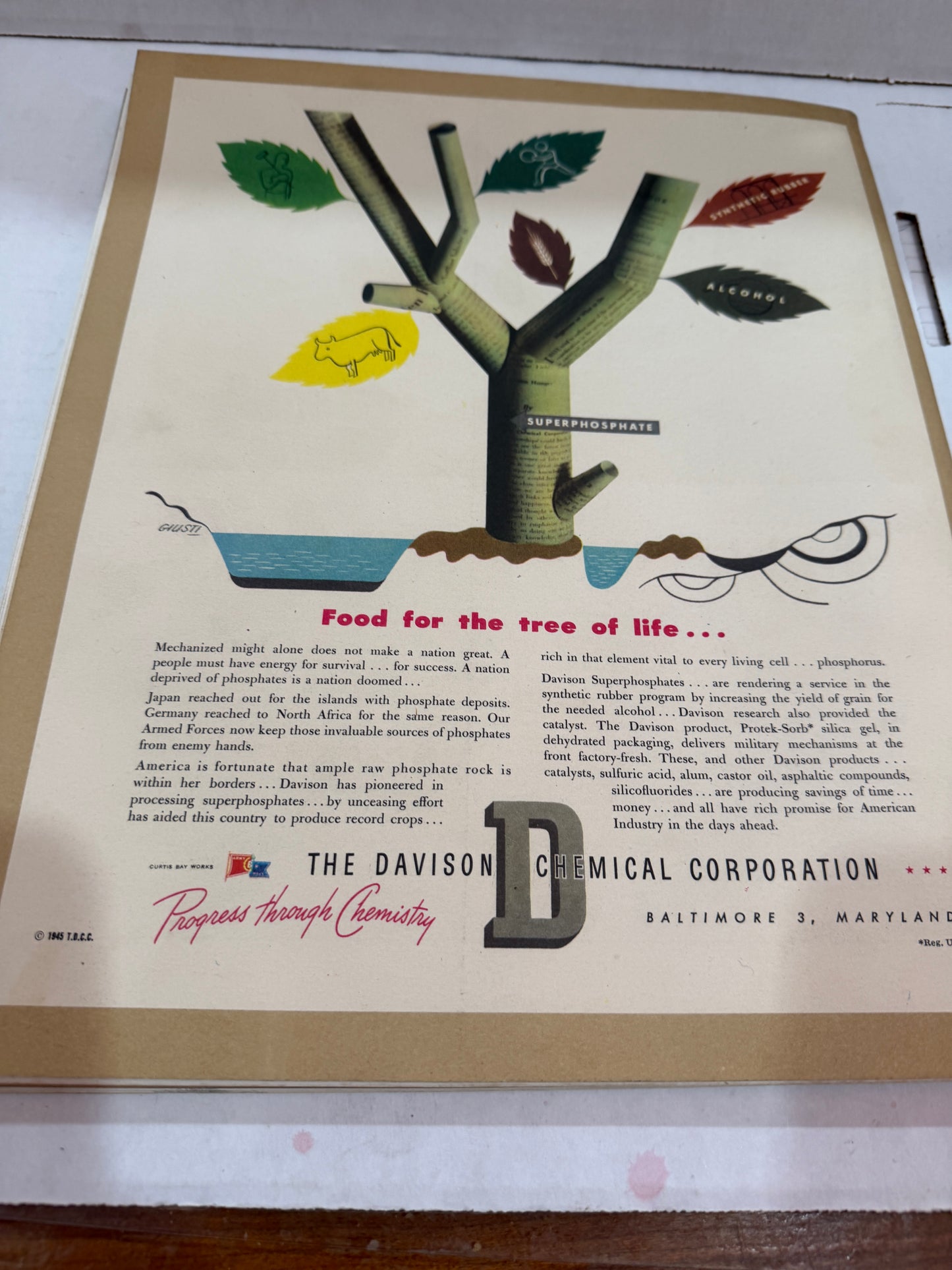 Fortune March 1945