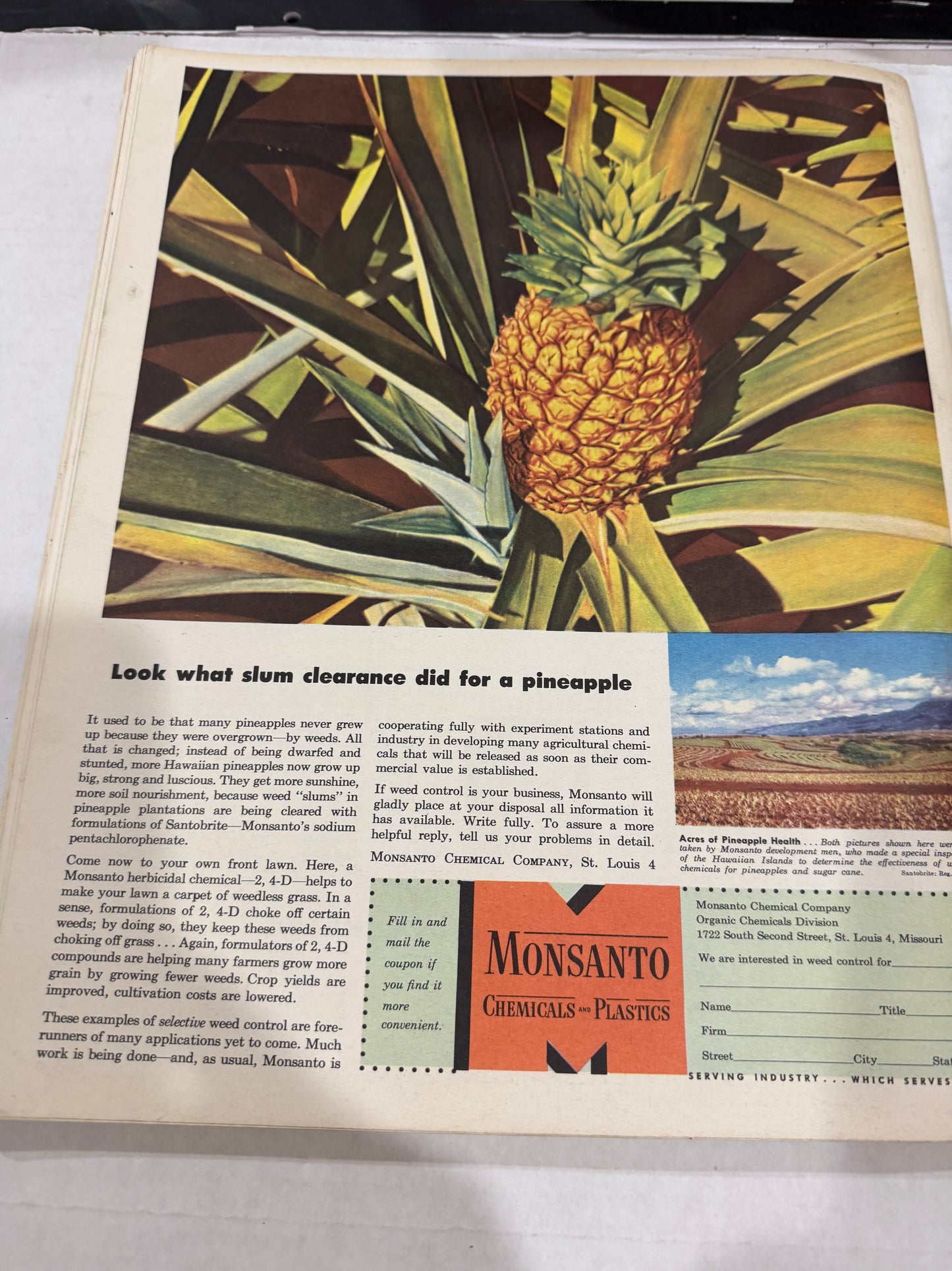 Fortune June 1948