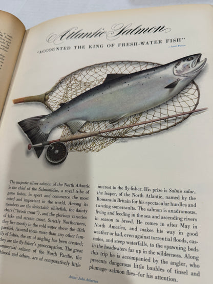 Fortune June 1948