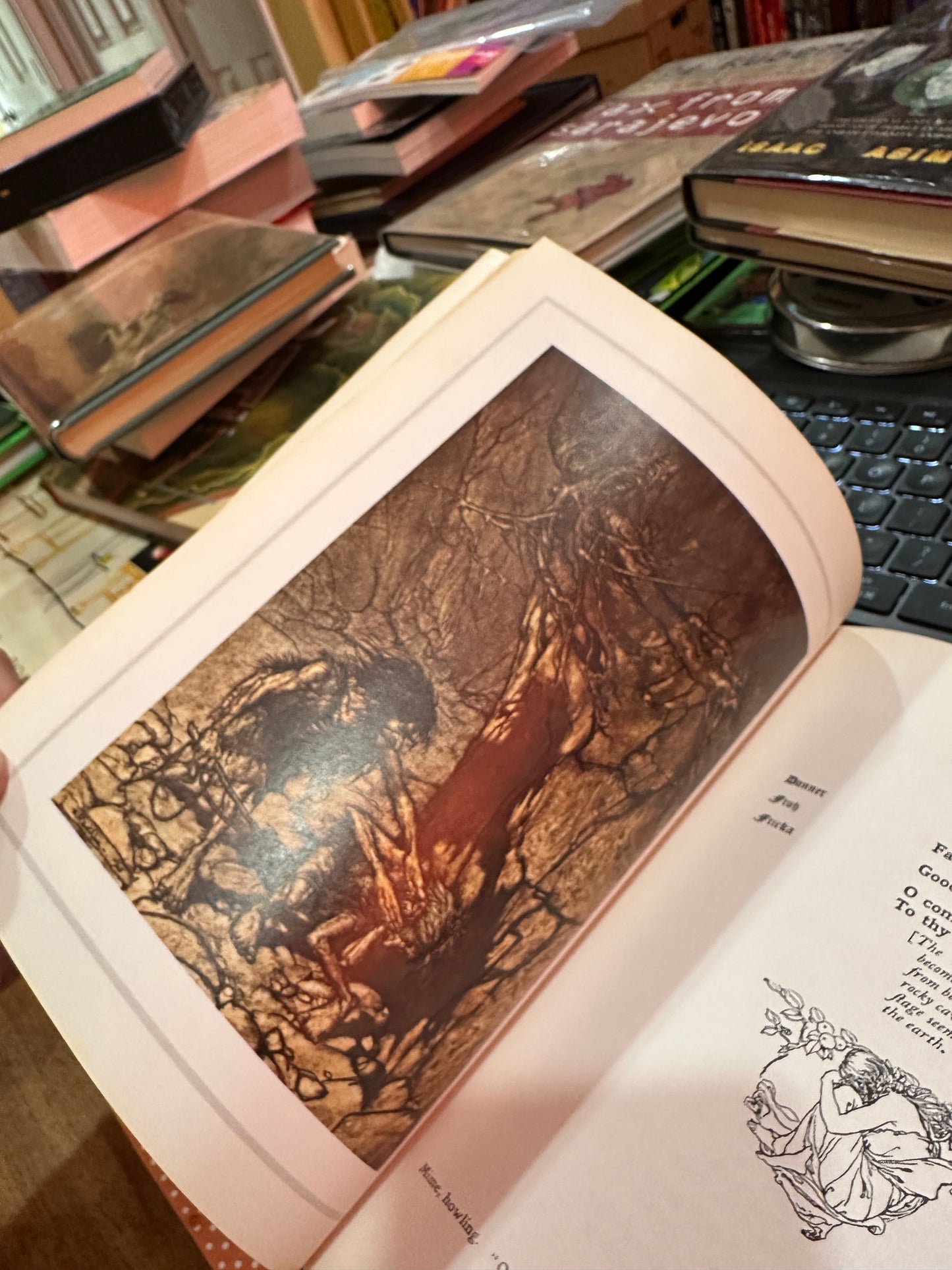 The Ring Of The Nieblung ( 2 Vol)