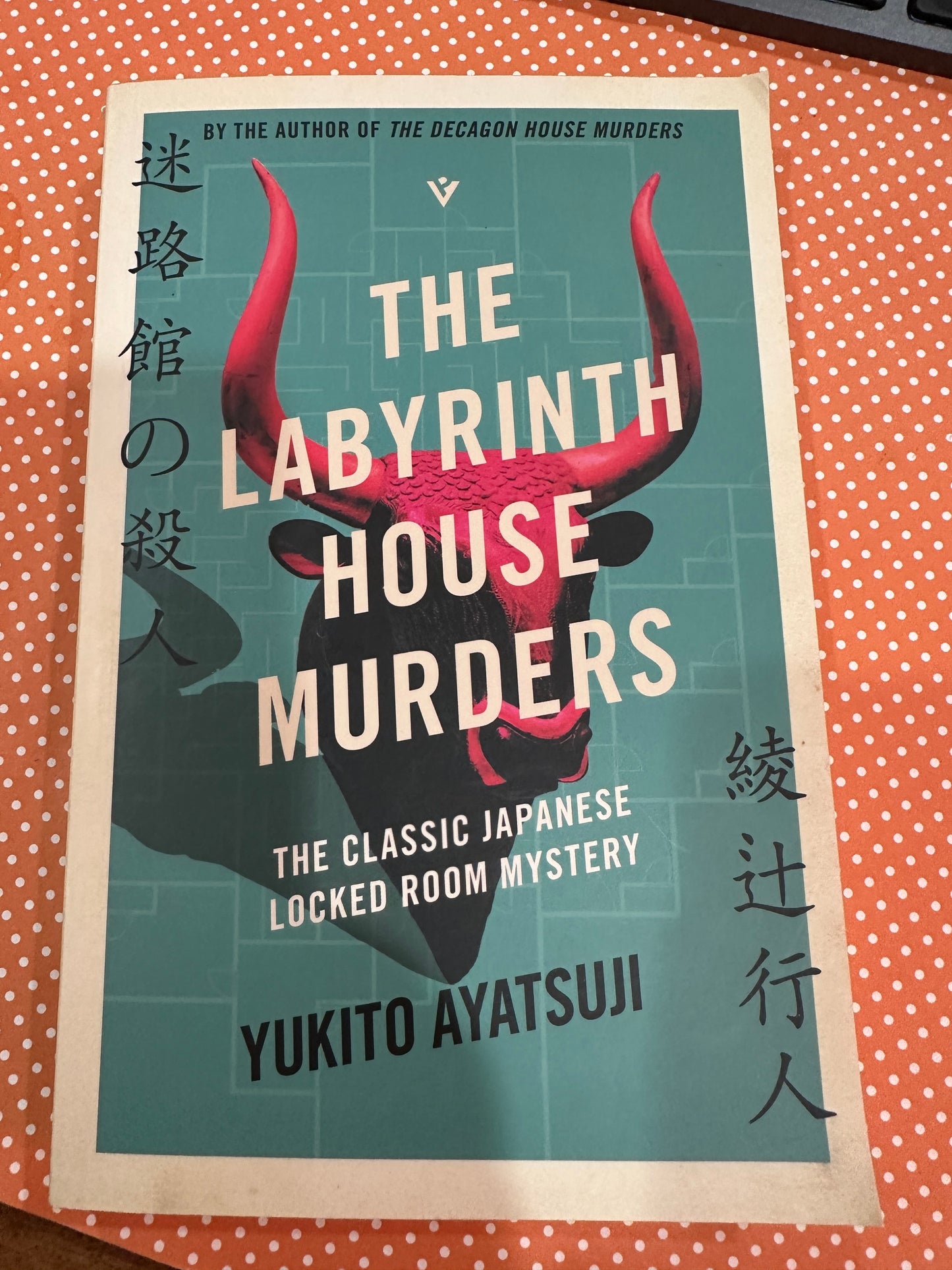 The Labyrinth House Murders