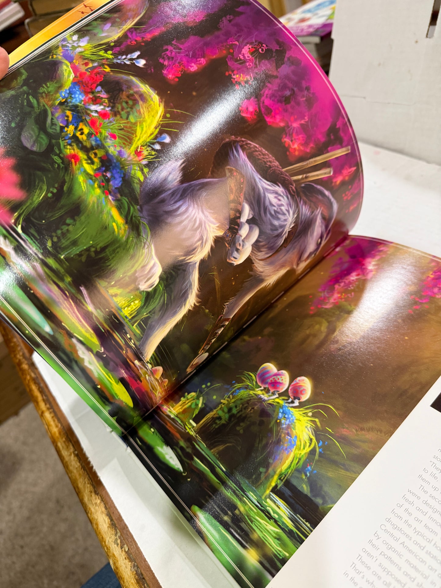 The Art of The Rise OF The Guardians