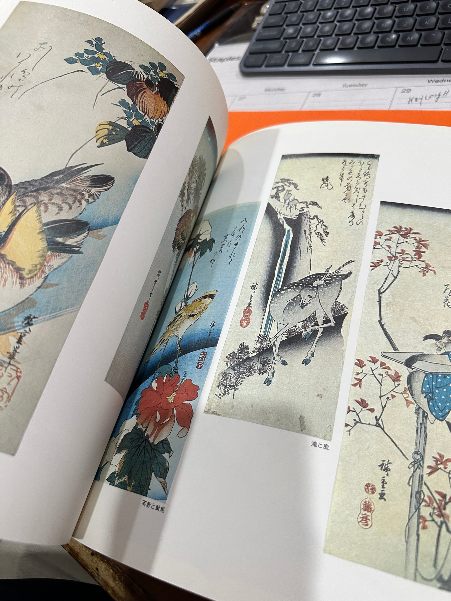 The Sun Series 3 Ukiyoe series autumn 1975