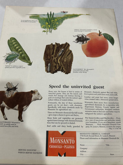 Fortune Magazine  Febuary 1949 complete