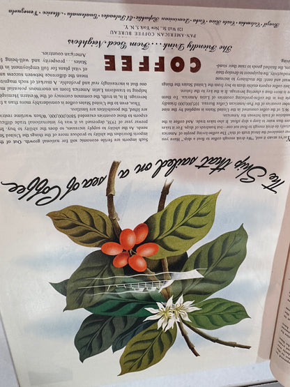 Fortune Magazine  November 1945 complete
