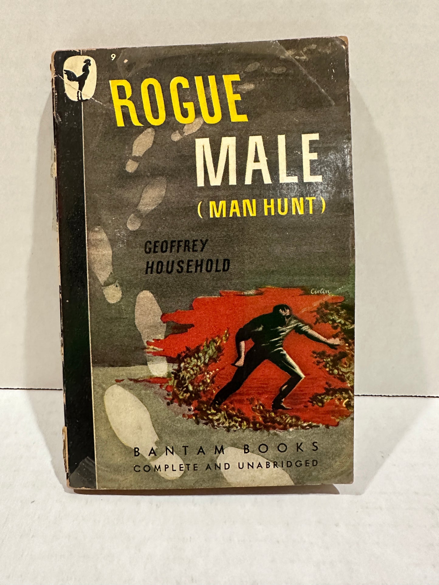 Rogue Male ( manhunt)