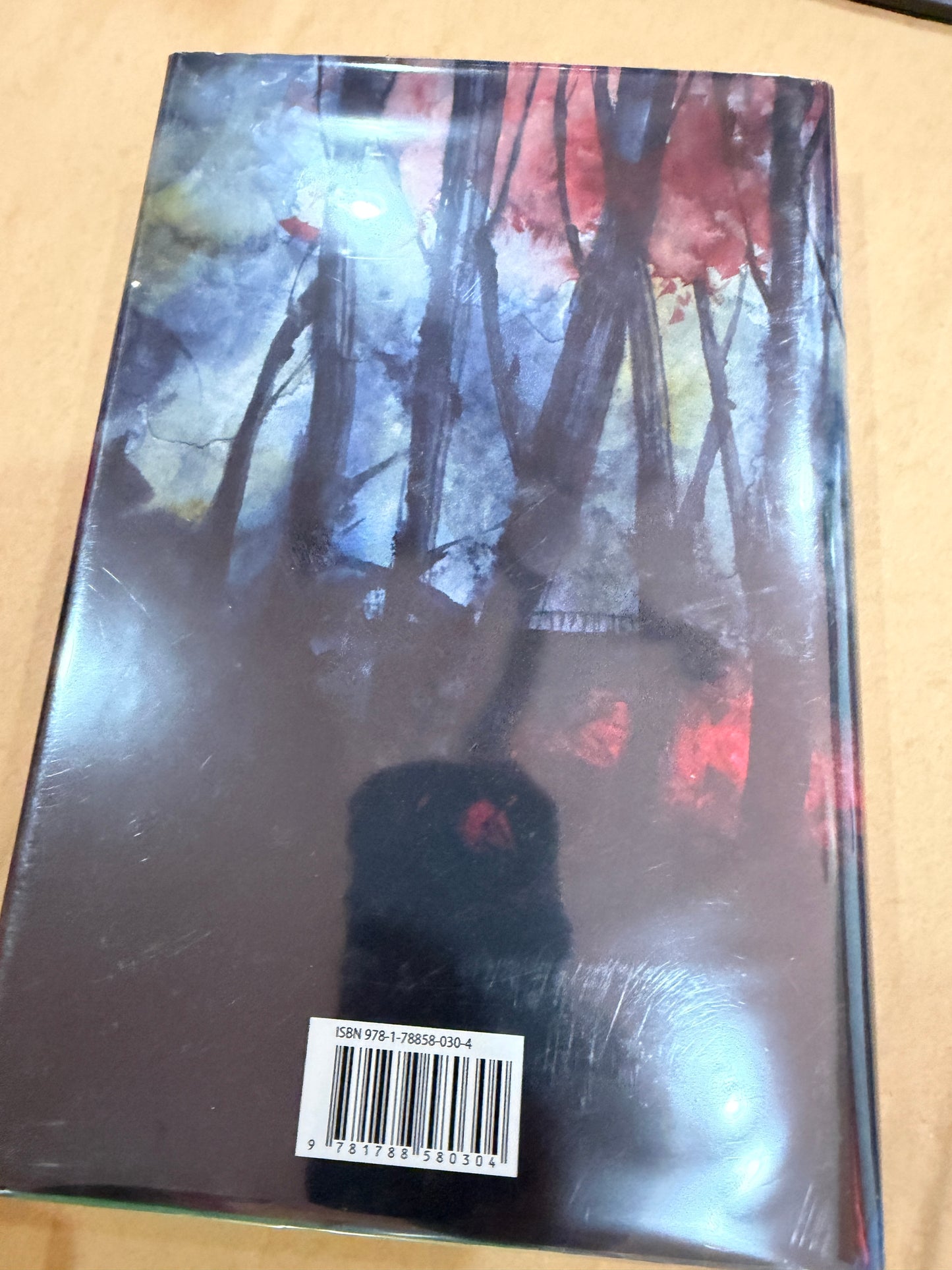 Survivor Song ( signed limited)