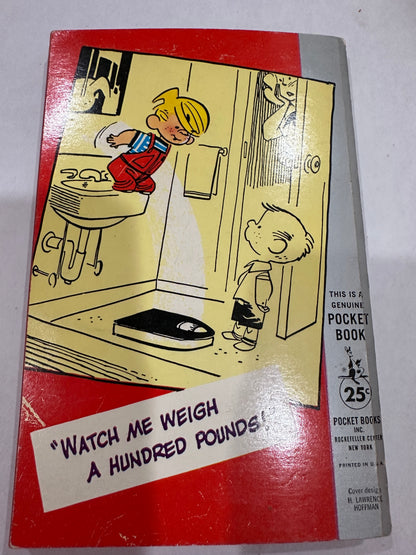 Dennis the Menace Household Hurricane