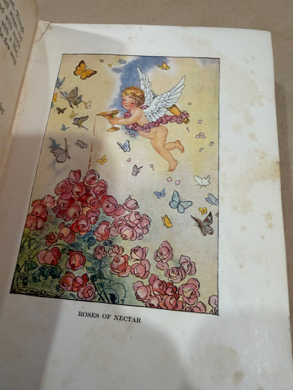 The Wonder Garden