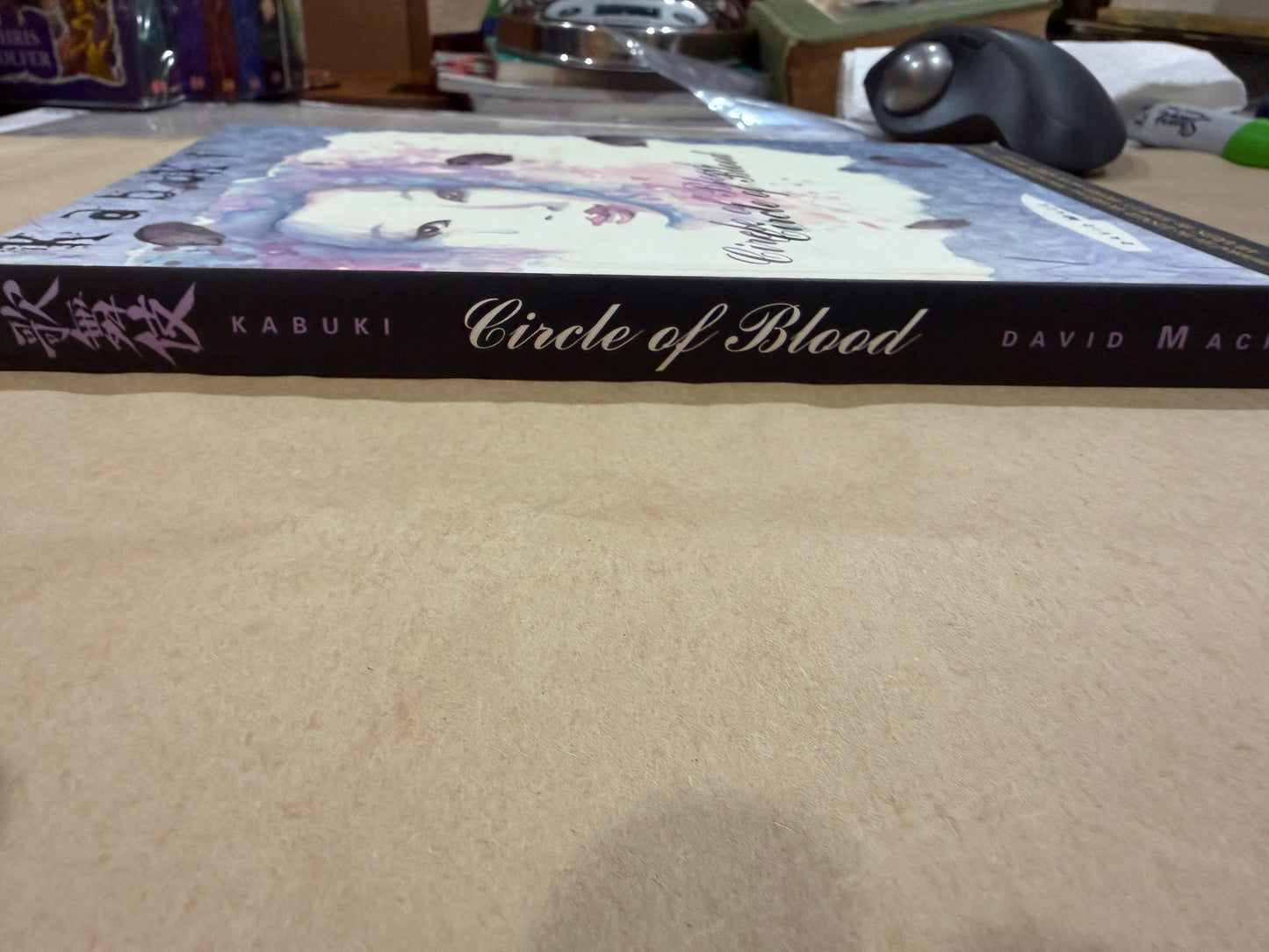 Kabuki: Circle of Blood