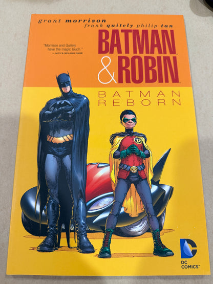 Batman & Robin: Batman Reborn