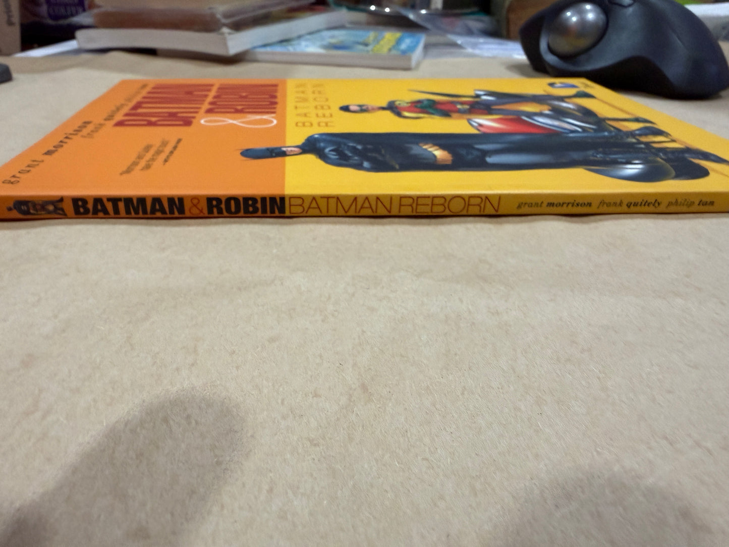 Batman & Robin: Batman Reborn