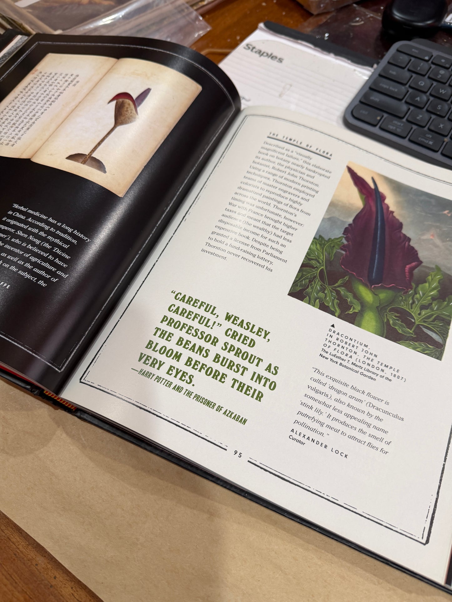 Harry Potter: A History of Magic-The Official Companion to the British Library Exibition at the New York Historical Society Museum and Library