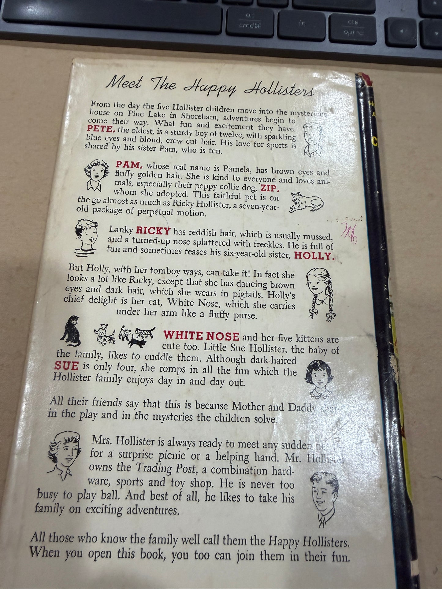 The Happy Hollisters and the Old Clipper Ship