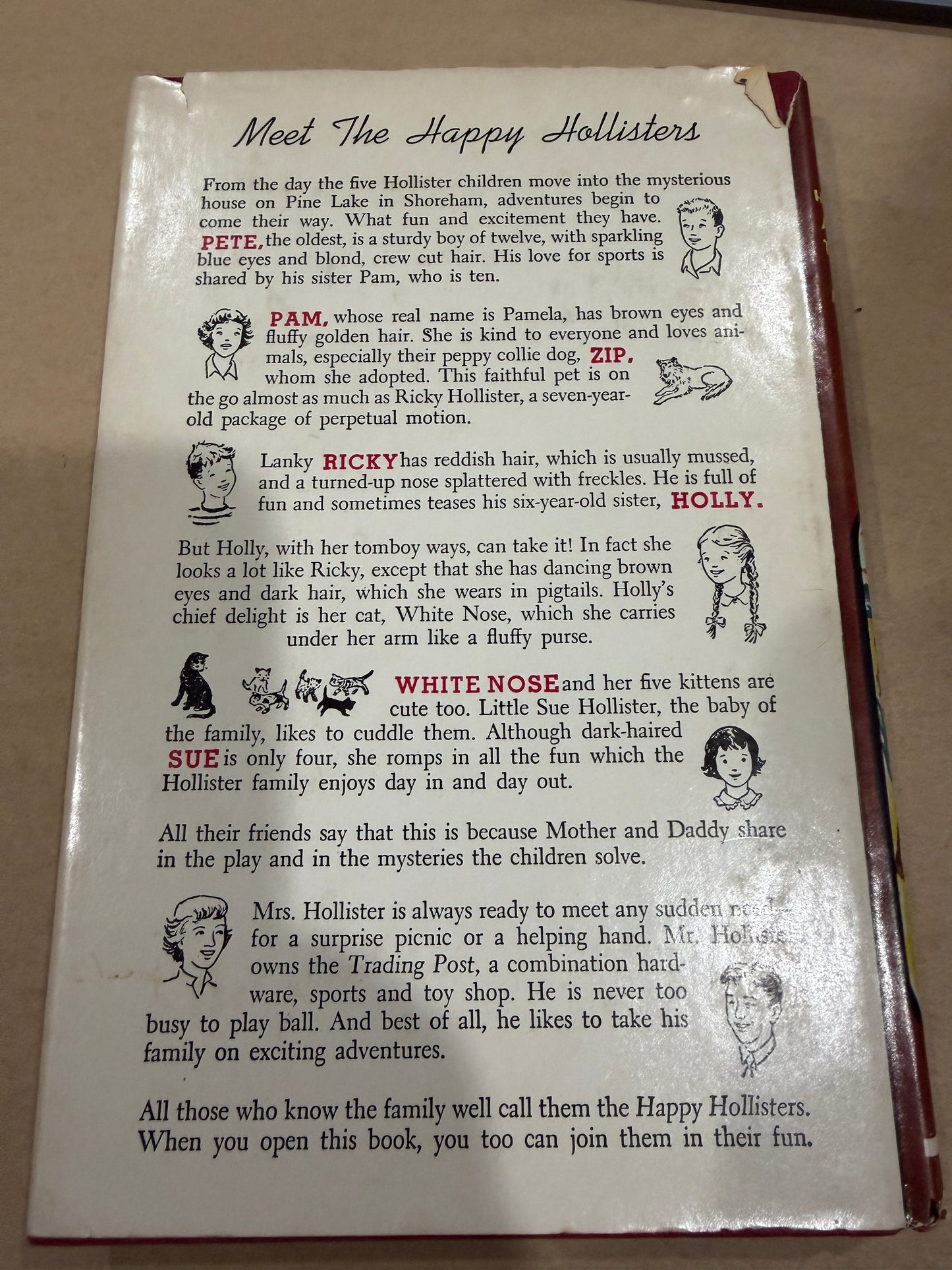 The Happy Hollisters and the trading post mystery