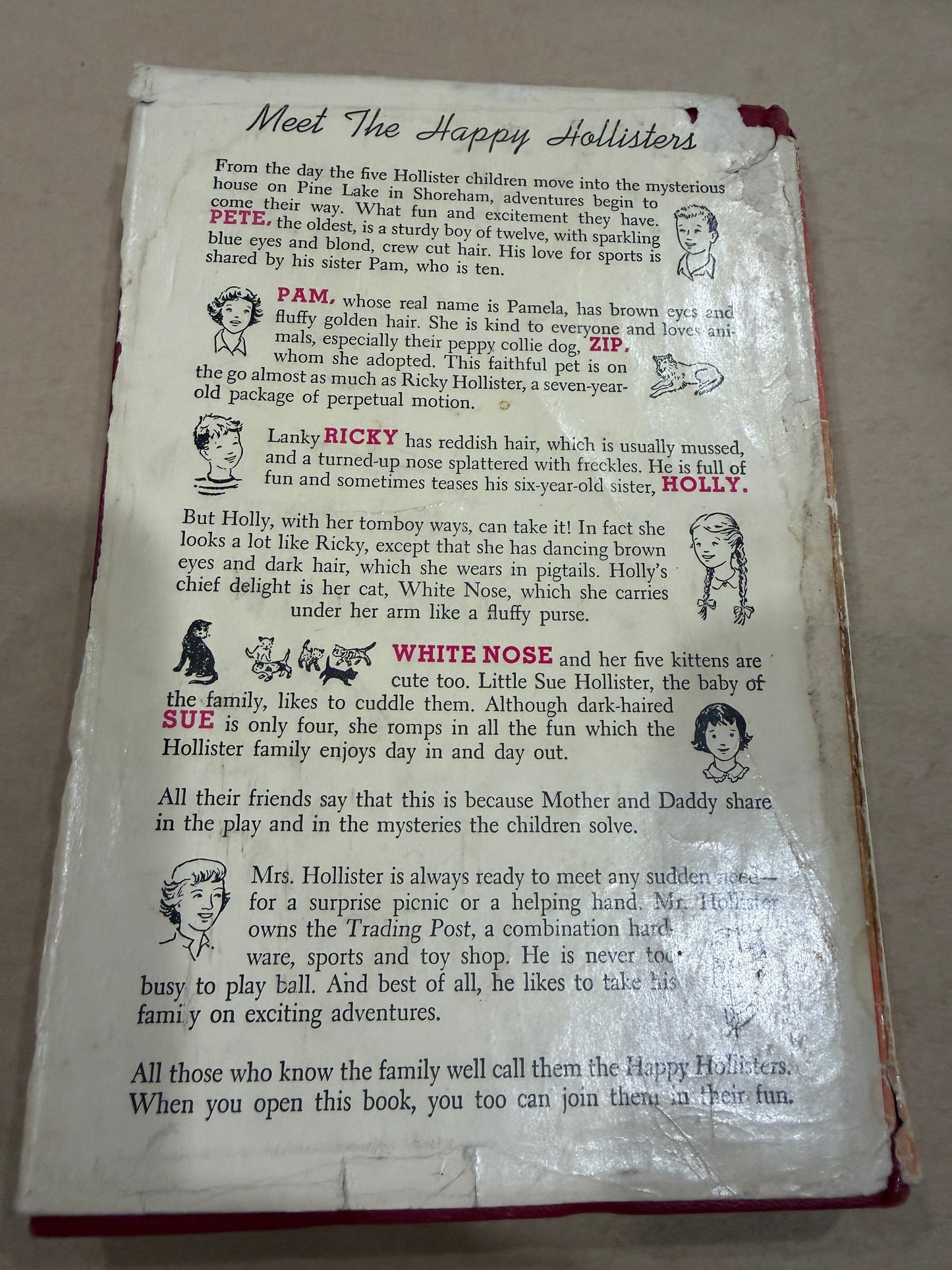 The Happy Hollisters and the Indian Treasure
