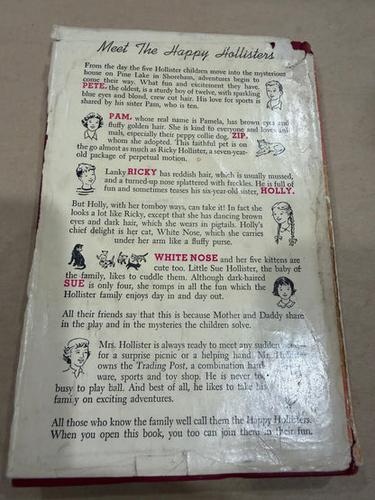 The Happy Hollisters and the Indian Treasure
