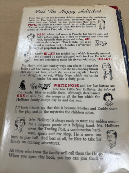 The Happy Hollisters and the Mystery of the golden witch