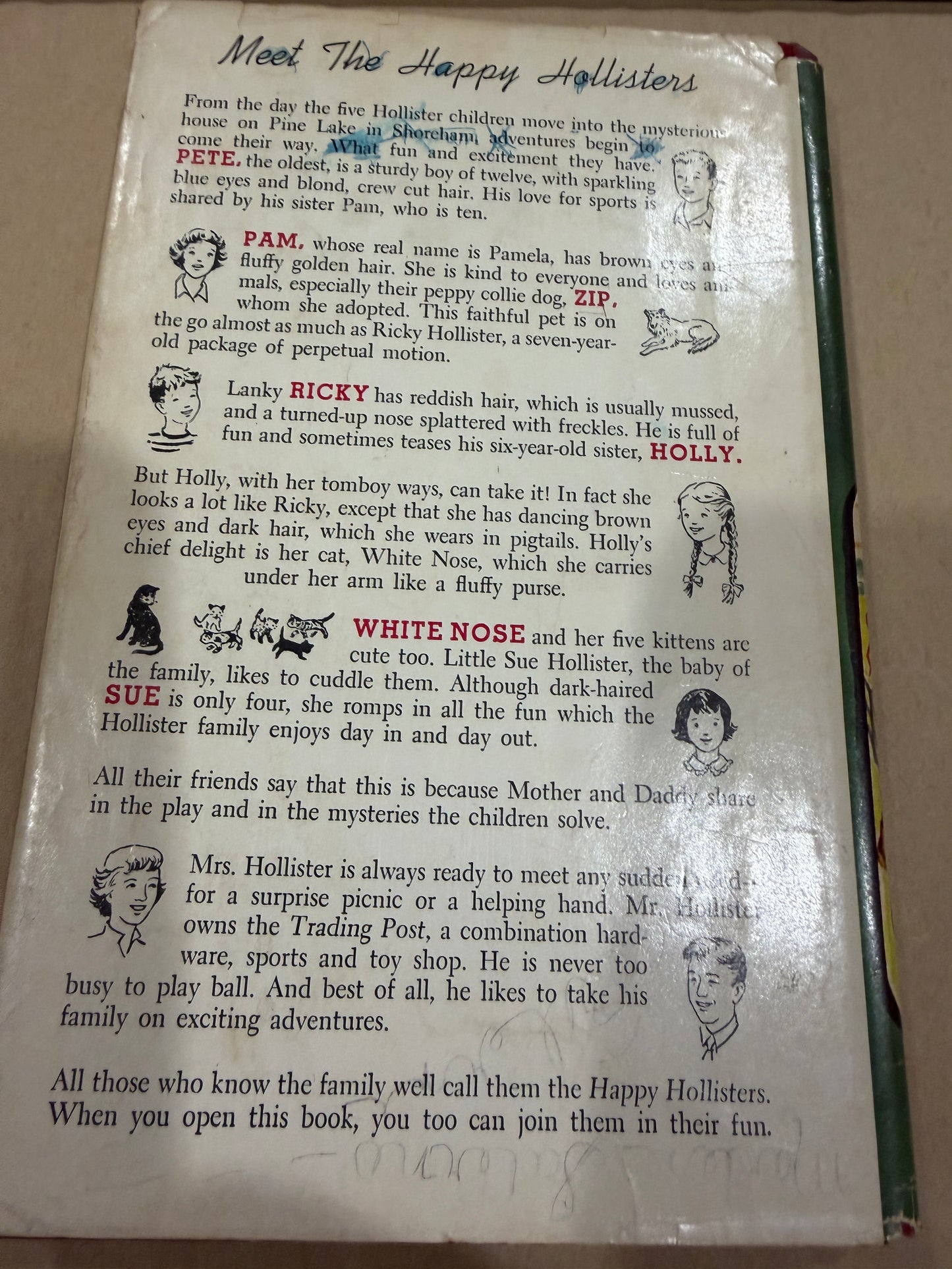 The Happy Hollisters and the Cowboy Mystery