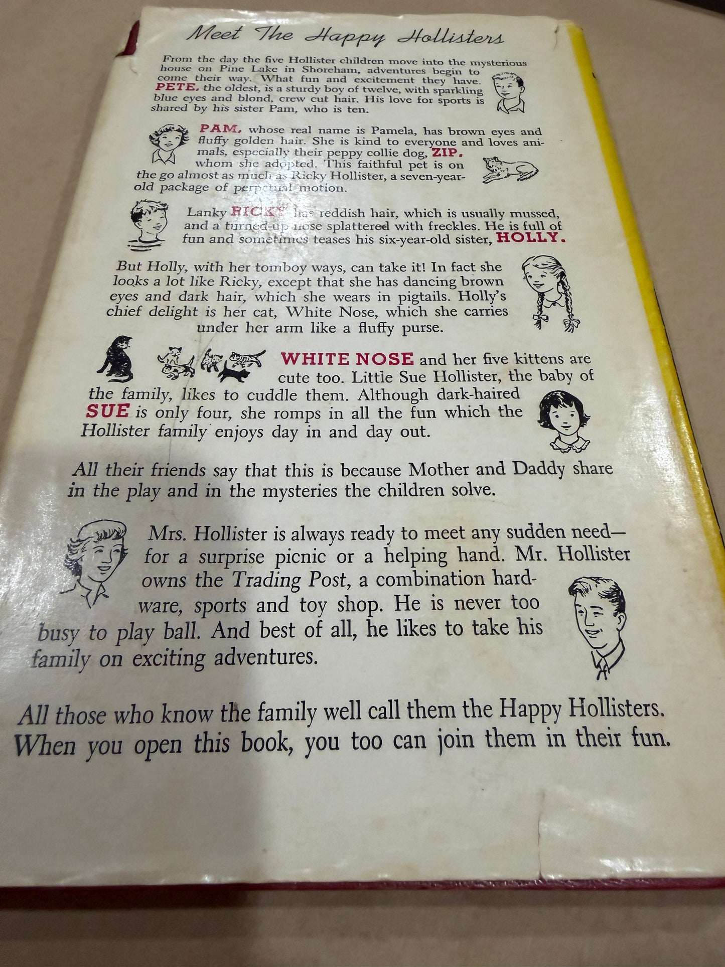 The Happy Hollisters (book Club)