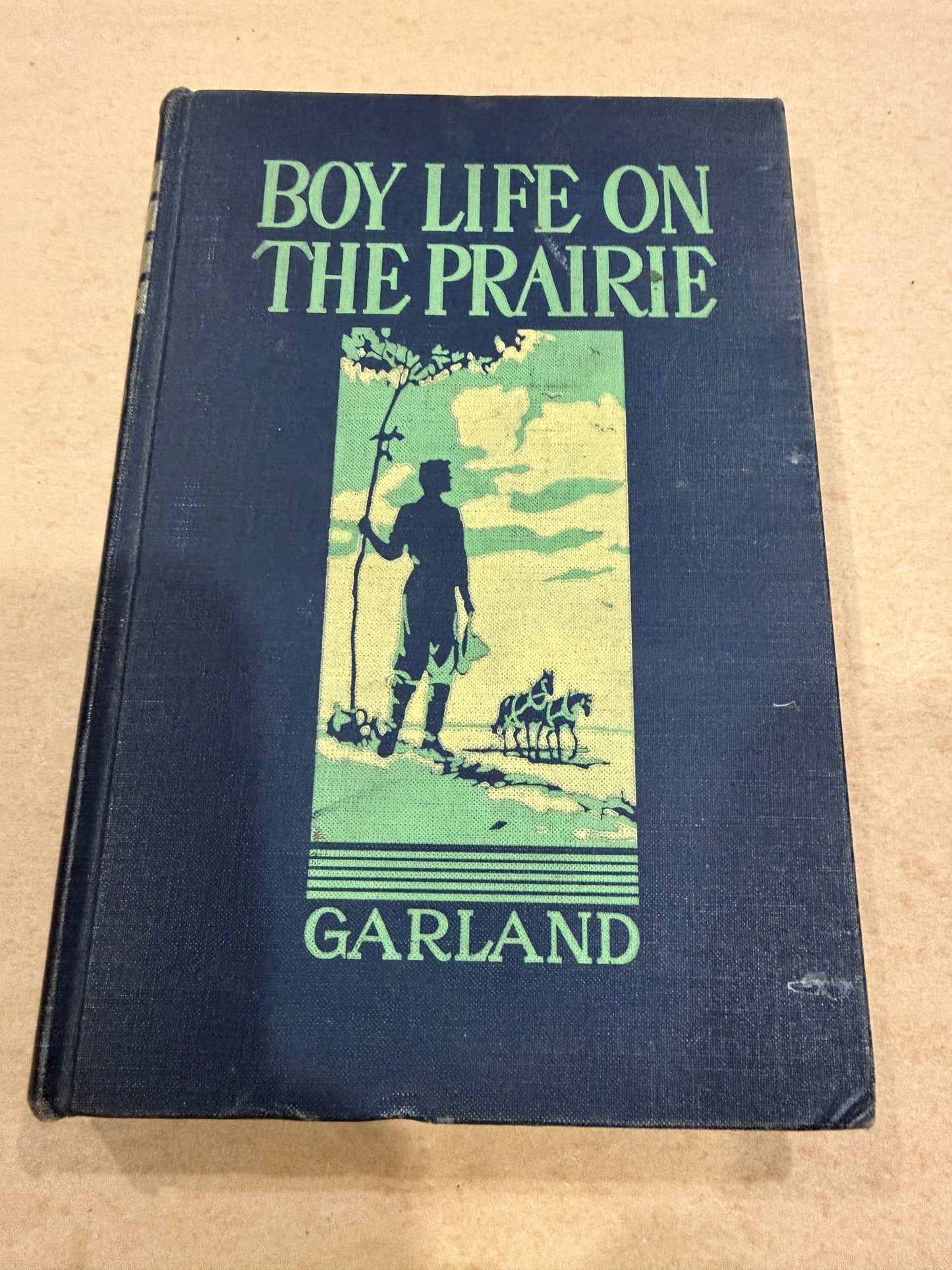 Boy Life on the Prairie