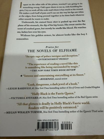 The Stolen Heir