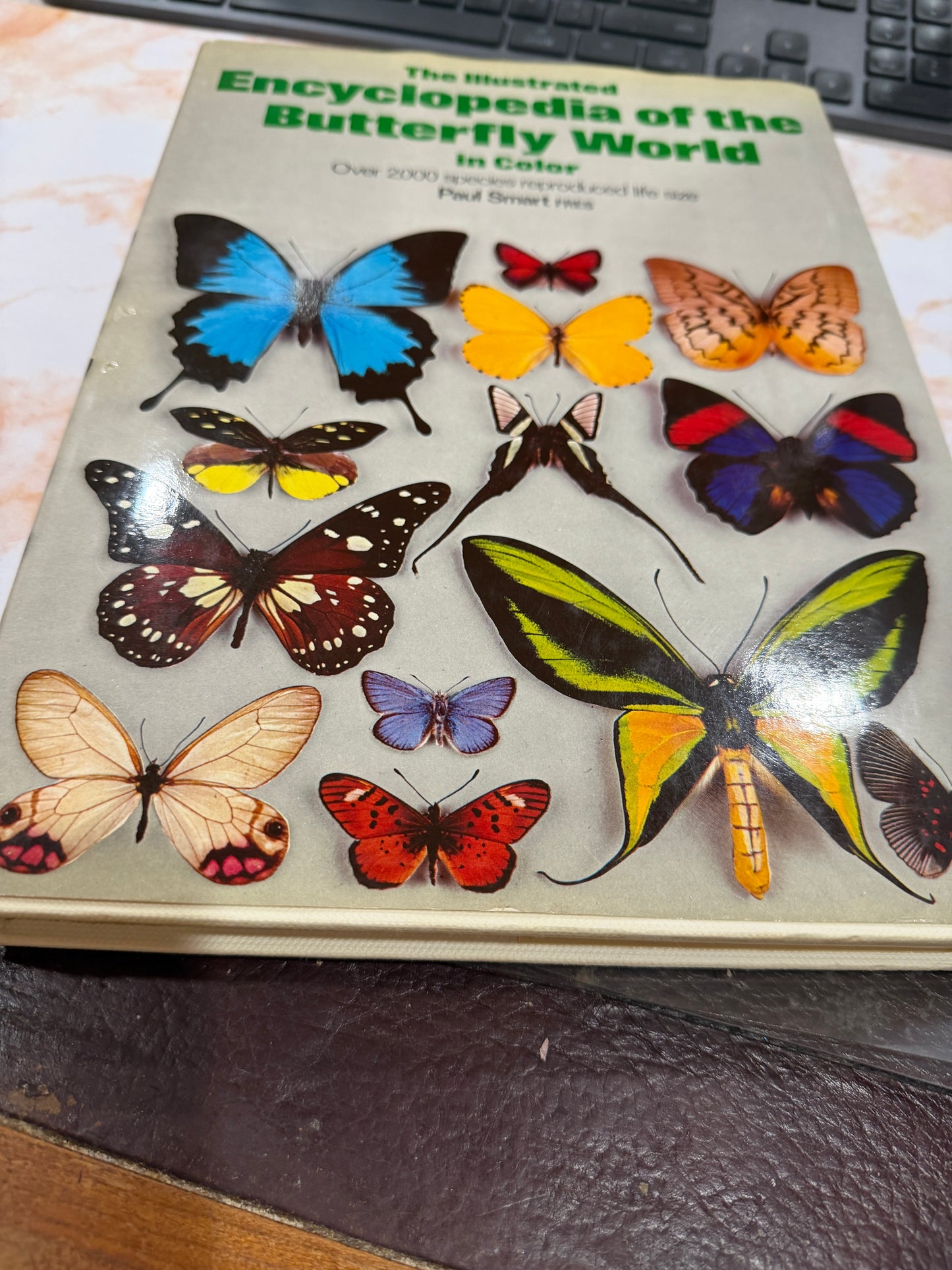 The Illustrated Encyclopedia of the Butterfly World in Color
