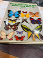 The Illustrated Encyclopedia of the Butterfly World in Color