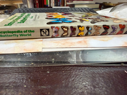 The Illustrated Encyclopedia of the Butterfly World in Color