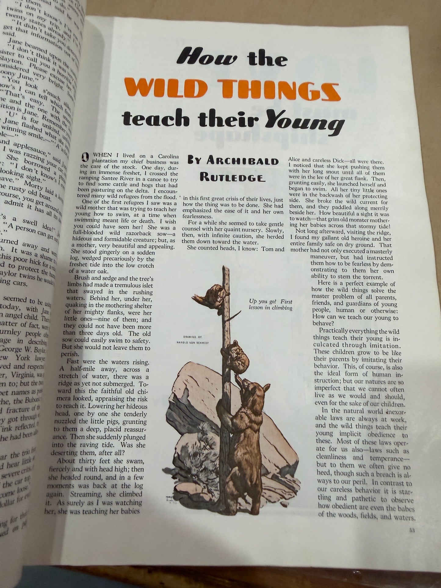 The American Magazine February 1934