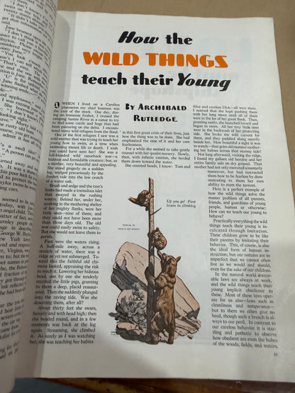 The American Magazine February 1934