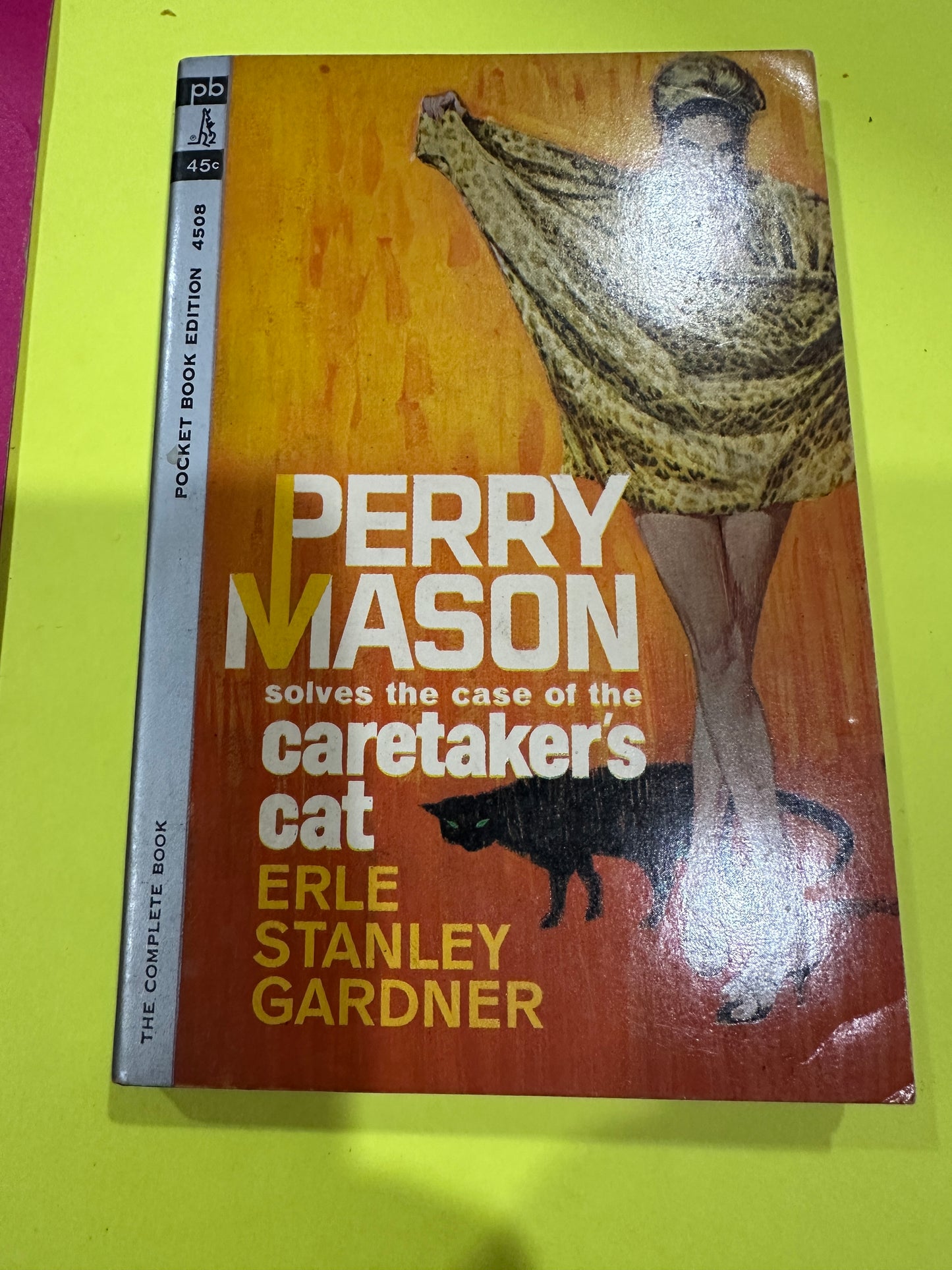 The Case of The Caretaker's Cat