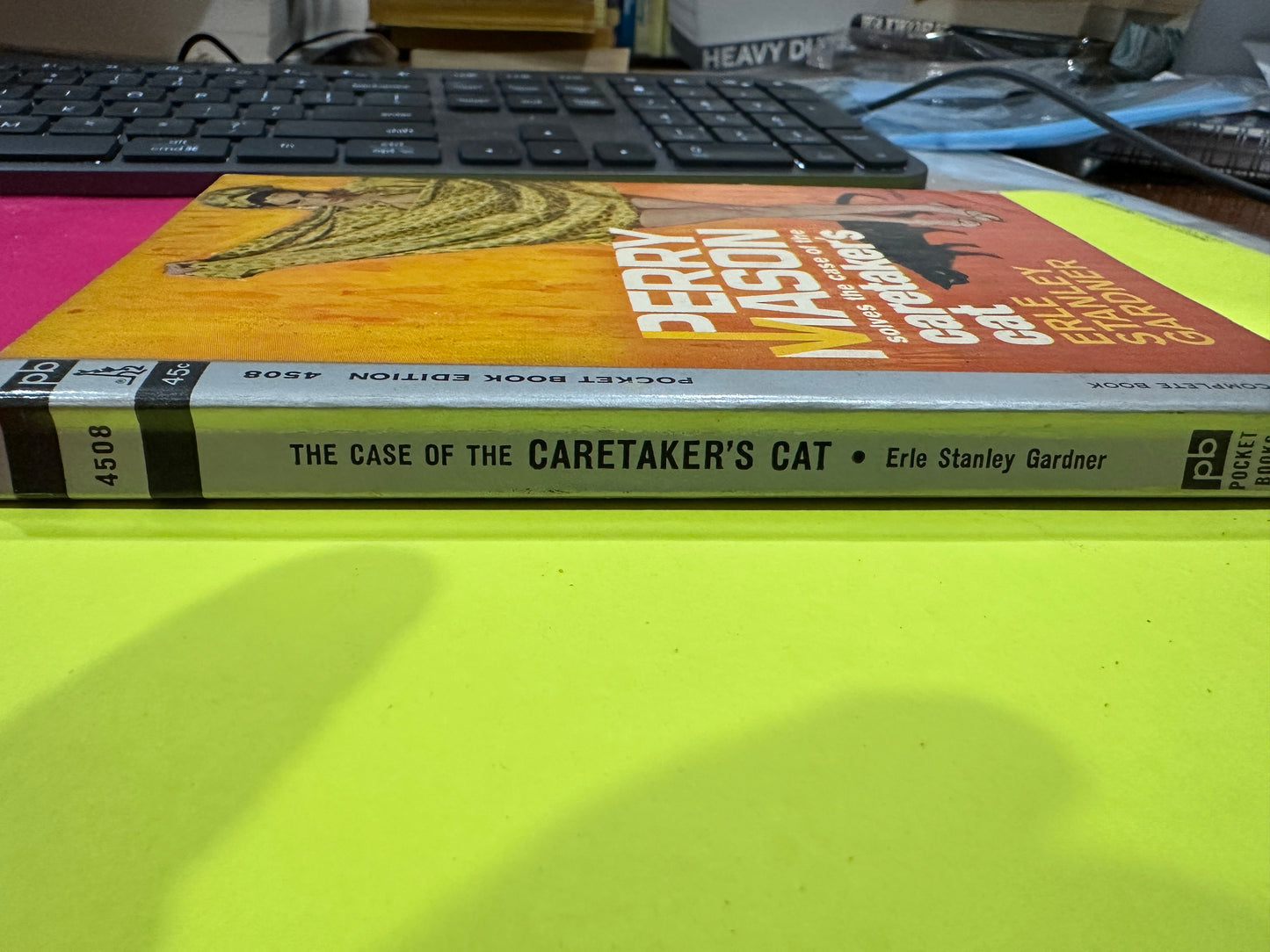 The Case of The Caretaker's Cat
