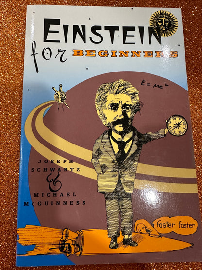 EINSTEIN for Beginners