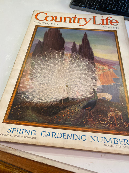 COUNTRY LIFE MAGAZINE MARCH 1926 spring gardening number