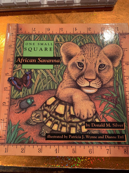 ONE SMALL SQUARE  AFRICAN SAVANNA