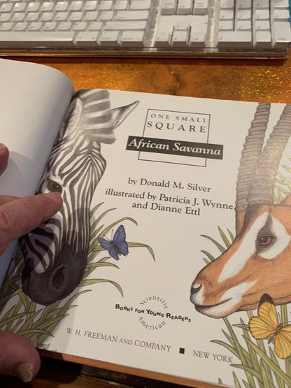 ONE SMALL SQUARE  AFRICAN SAVANNA