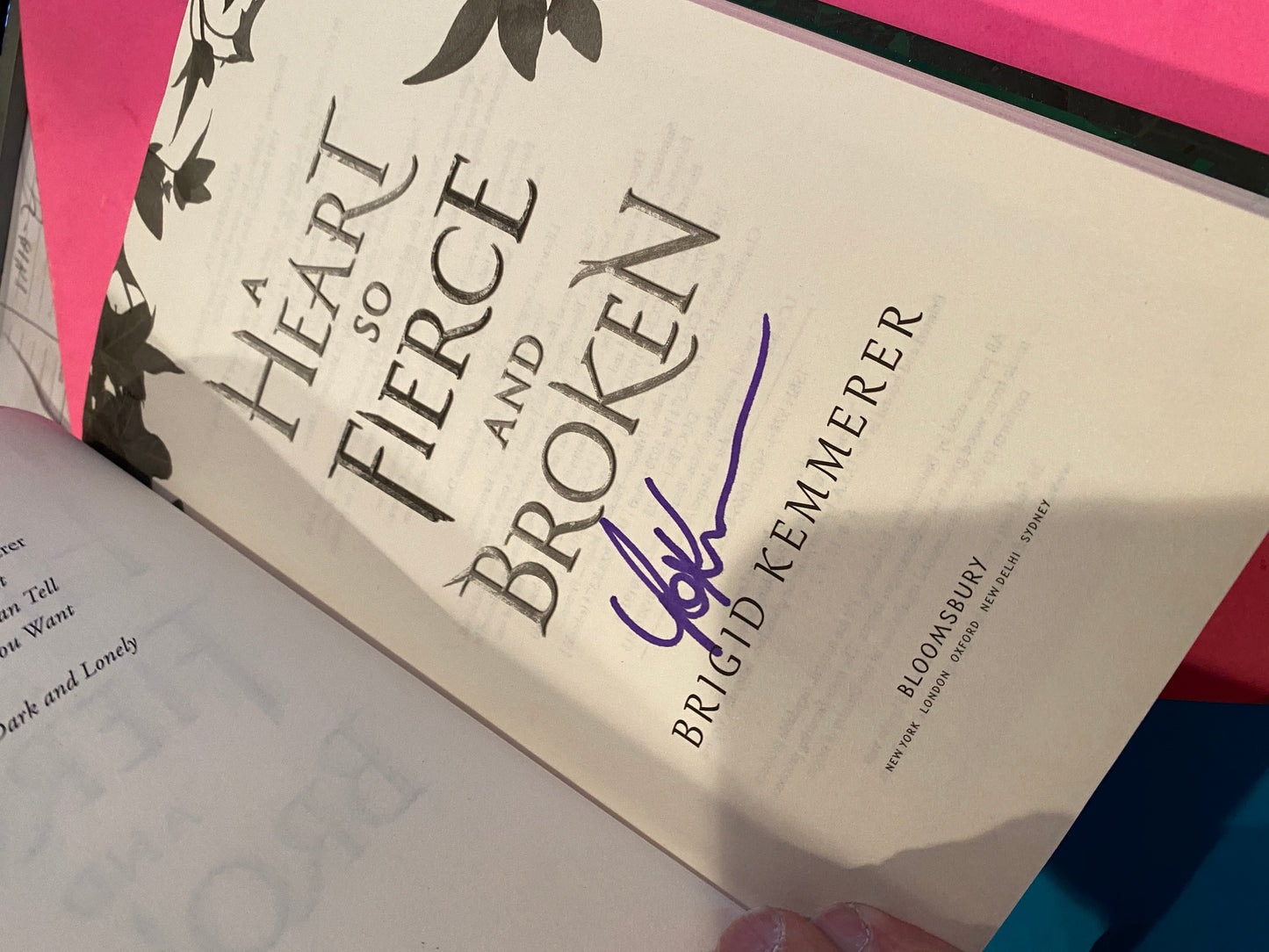 A HEART SO FIERCE AND BROKEN by Brigid Kemmerer