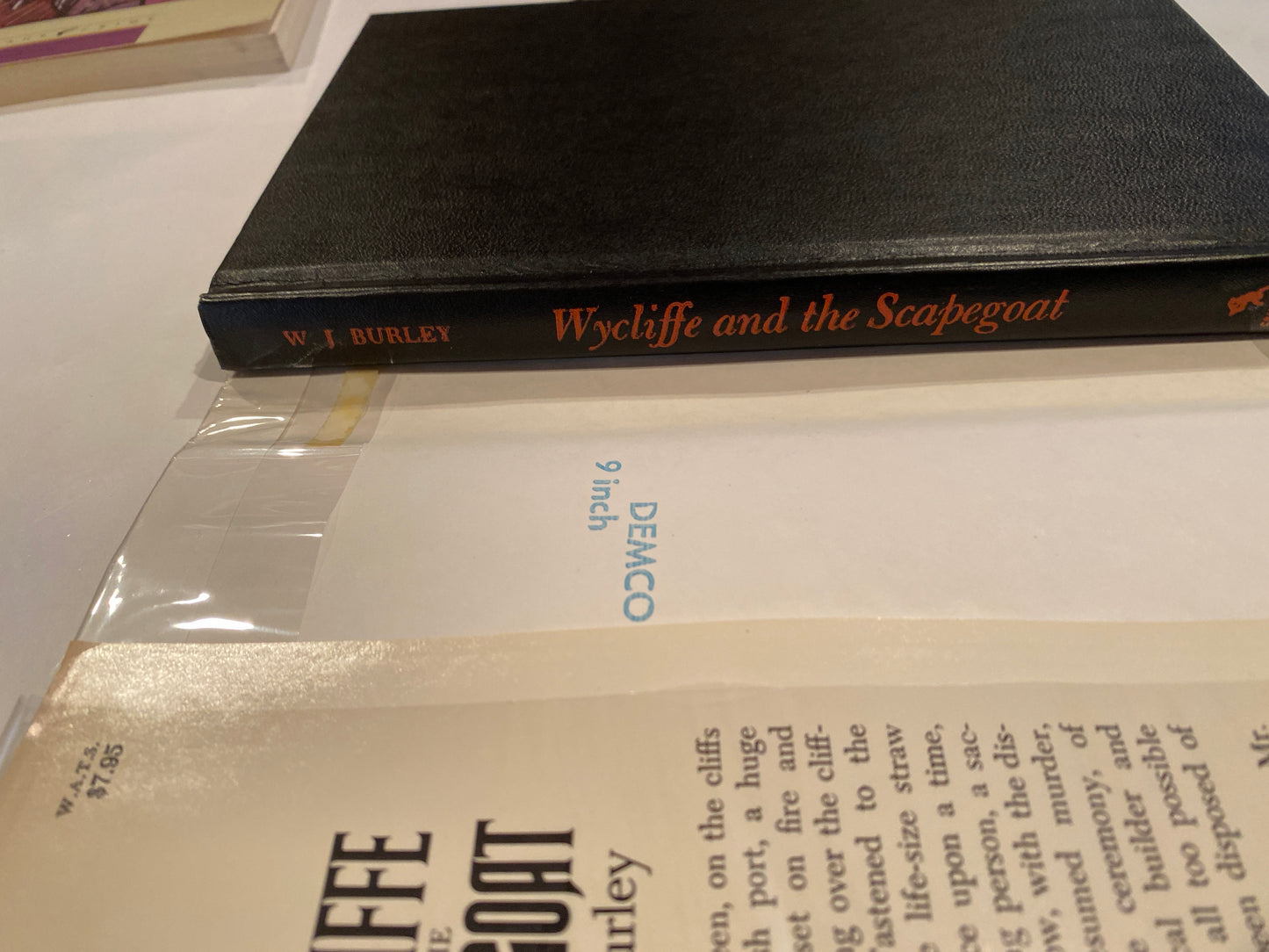 Wycliffe and the Scapegoat by W.J. Burley
