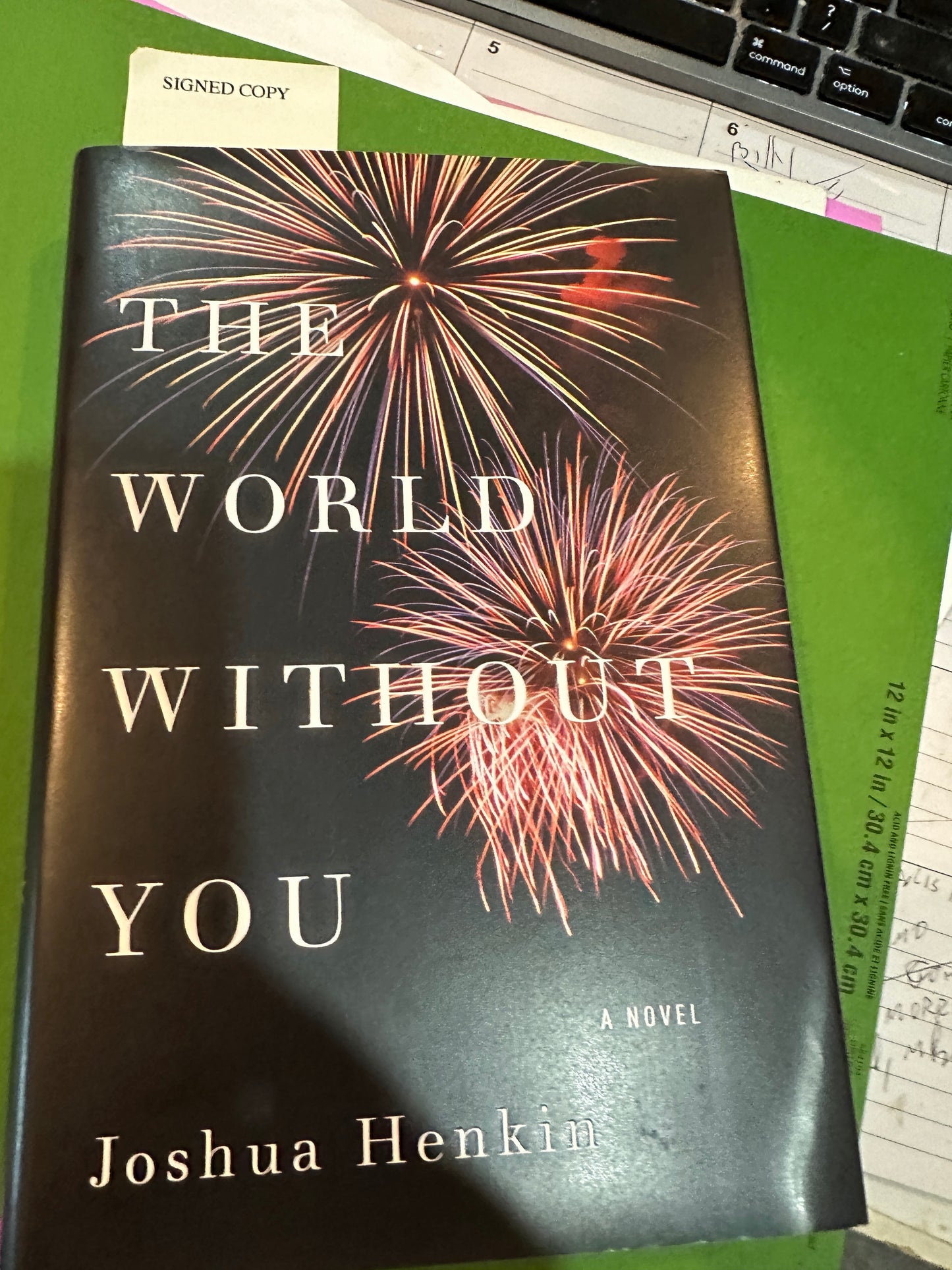 The World Without You by Joshua Henkin