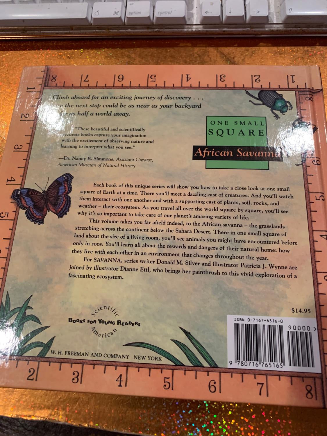 ONE SMALL SQUARE  AFRICAN SAVANNA