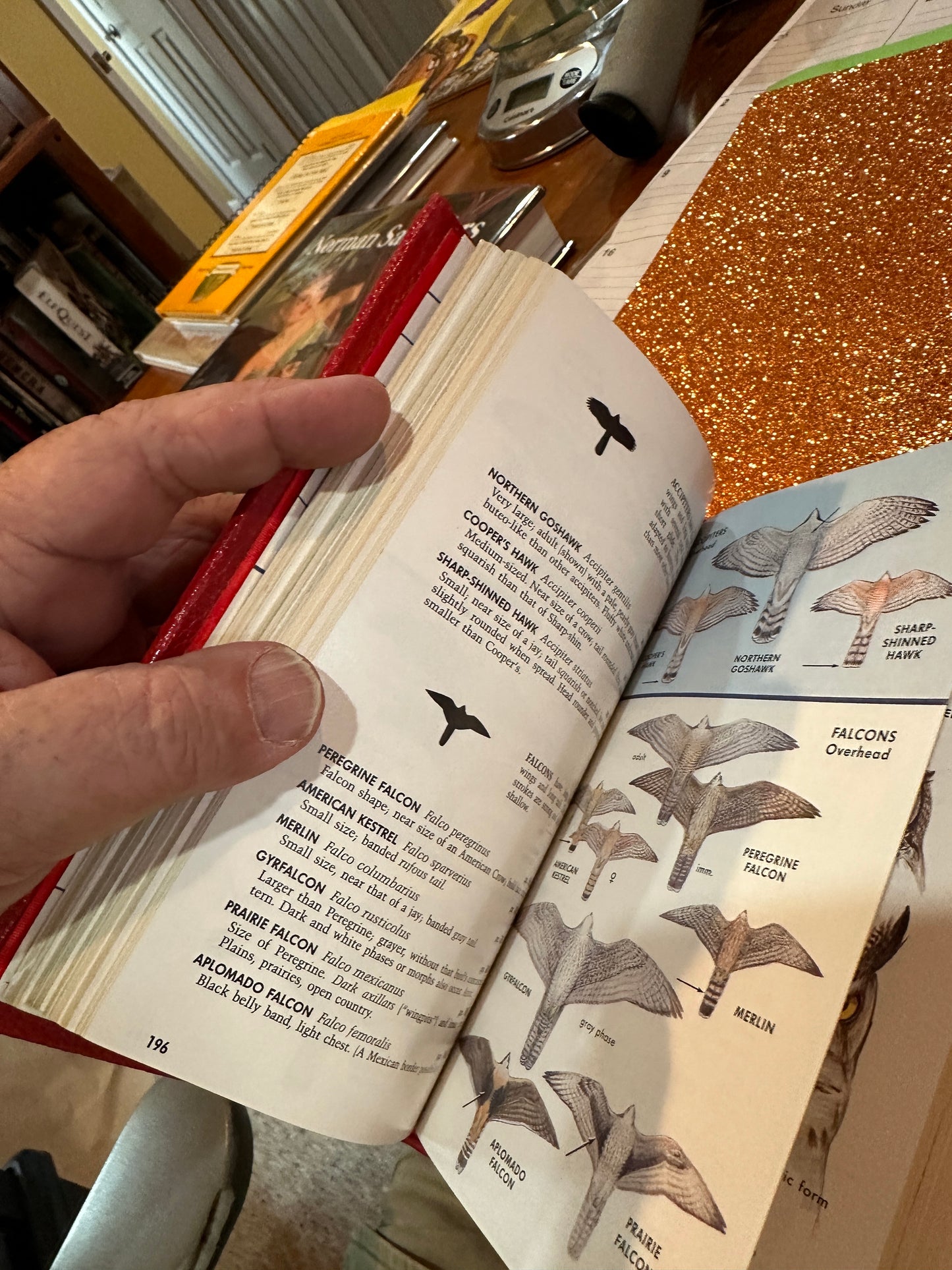 A field Guide to Western Birds Limited by Roger Toby Peterson