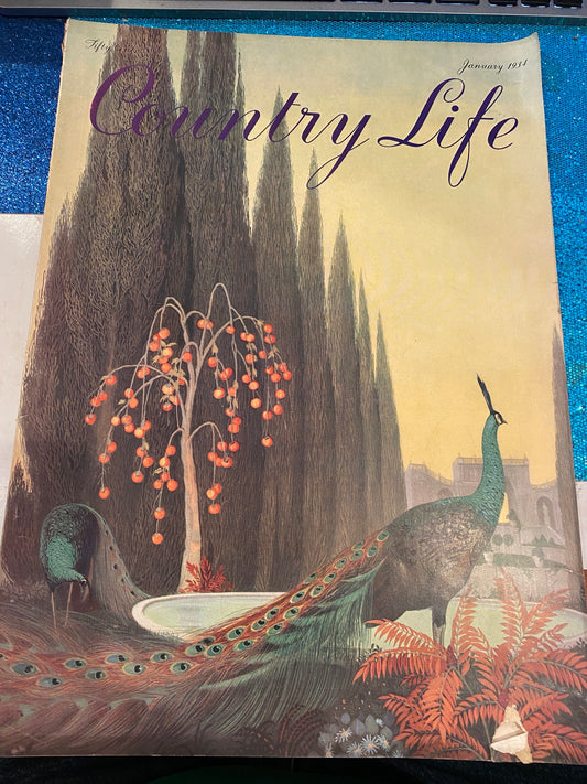 Country Life January 1934