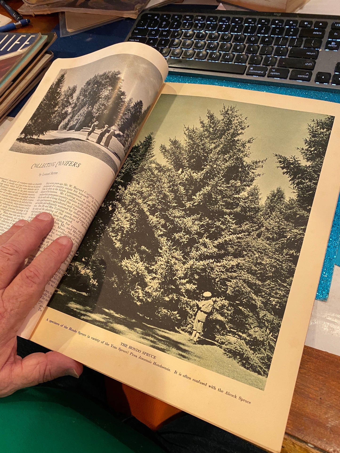 Country Life January 1934